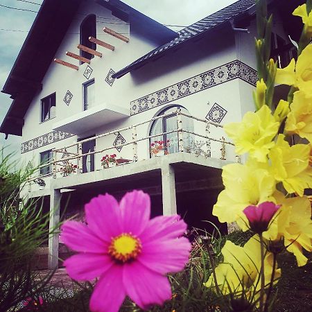Casa Aureliana Villa Ciocanesti Luaran gambar