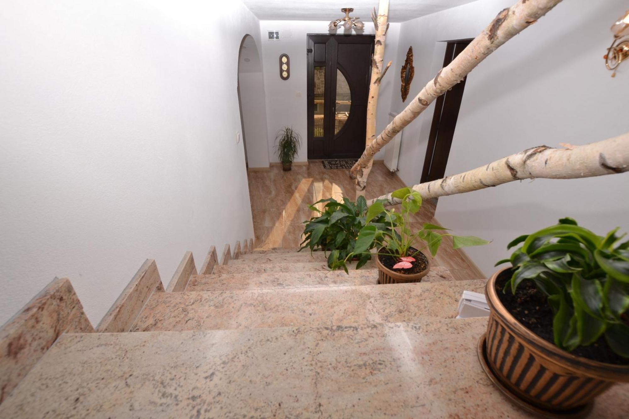 Casa Aureliana Villa Ciocanesti Luaran gambar